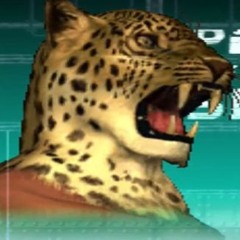 ⑶