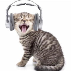 Muhccnthearu