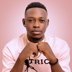 DJ Sauvage