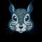 The Psychedelic Squirrel