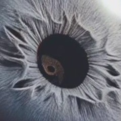 LEOON*.*