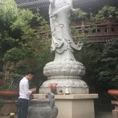 Trường Vĩnh Đào