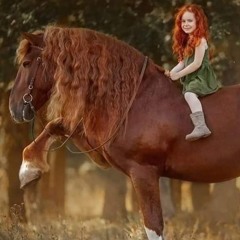 خالد ميزو1234