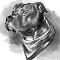 harley