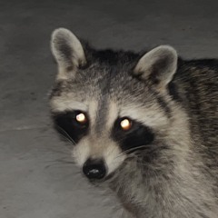 lanenniita