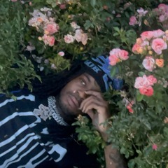 Thouxanbanfauni