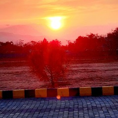 Asad Mehmood