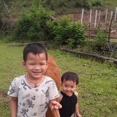 Hải Hà