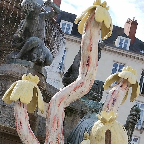 magique ! pour vous