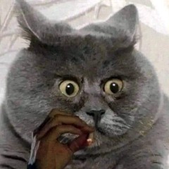 Koekedoosje1111