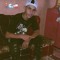Mohamed