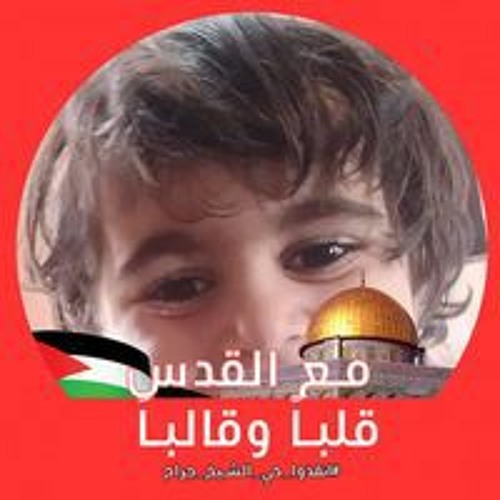 Sherif Hadaei’s avatar