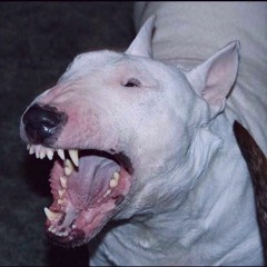 BLXCCK | CRIAHIT Ent.