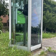 あんにゃん