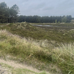 ditte eskildsen