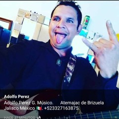 Adolfo Perez G