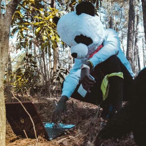 Stream Philly Eavesdrop music Listen to songs, albums, playlists for