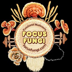 FOCUS FUNGI  - focusfungi.com