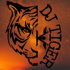 DJ TIGER