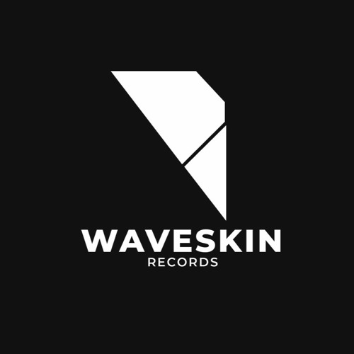 WAVESKIN RECORDS’s avatar