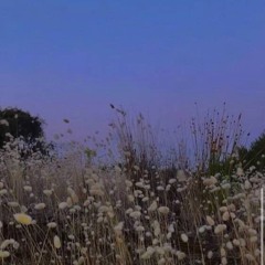 shikyla (@glowinginthedark) ♓︎