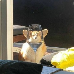 lookatthisdude