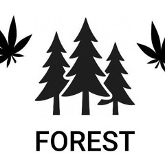 forest.kz