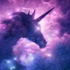 The Sparkly Unicorn