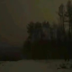 алисек