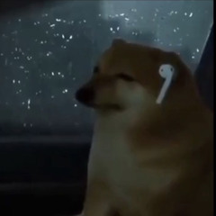 Qtznx