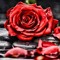 rose