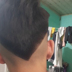 nobi