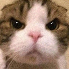 ‎