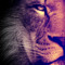 leoleao
