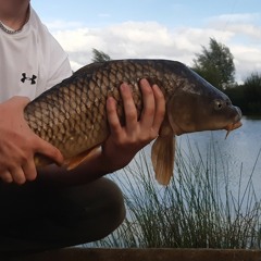 Dandy - Joel Blissett (Mix)