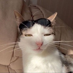 seez