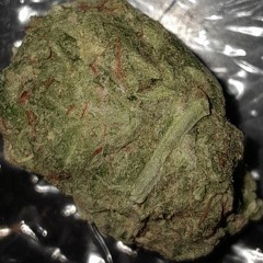 legalizuytegaznablocke