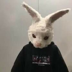 REVERSEBEARTRAPSX