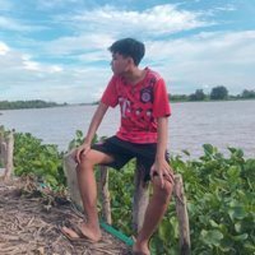 Nguyễn Ngọc Tỷ’s avatar