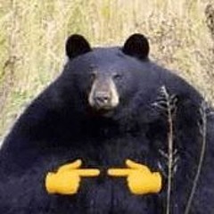 Brwnbear