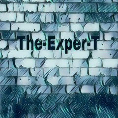 The-Exper-T