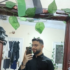 محمود ماجد.