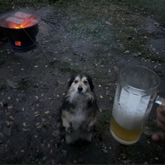 dkwhatiwantfrommylife