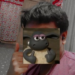 Rudi Humaini