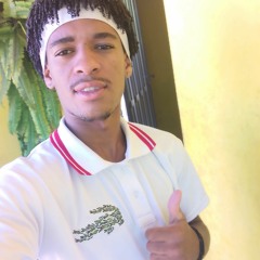 Vn Silva Do Martiins