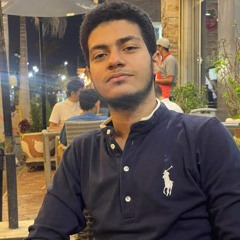 Mostafa M. Shaarawe