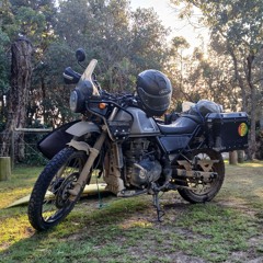 Harry&Phaedrus the Himalayan