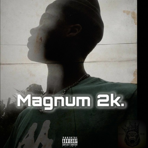 Magnum 2k_rsa’s avatar