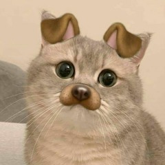 hoxxy6.6
