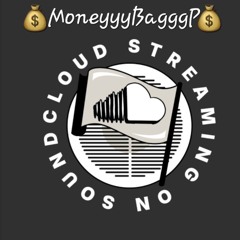 💰  MoneyyyBagggP 💰